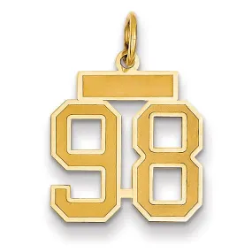 14k Yellow Gold Satin Brush Finish Small Size Number 98 Charm Pendant