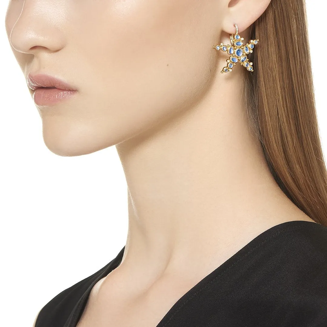 18K Sea Star Earrings