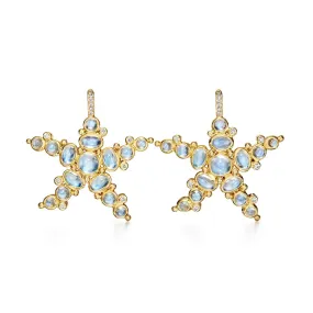 18K Sea Star Earrings
