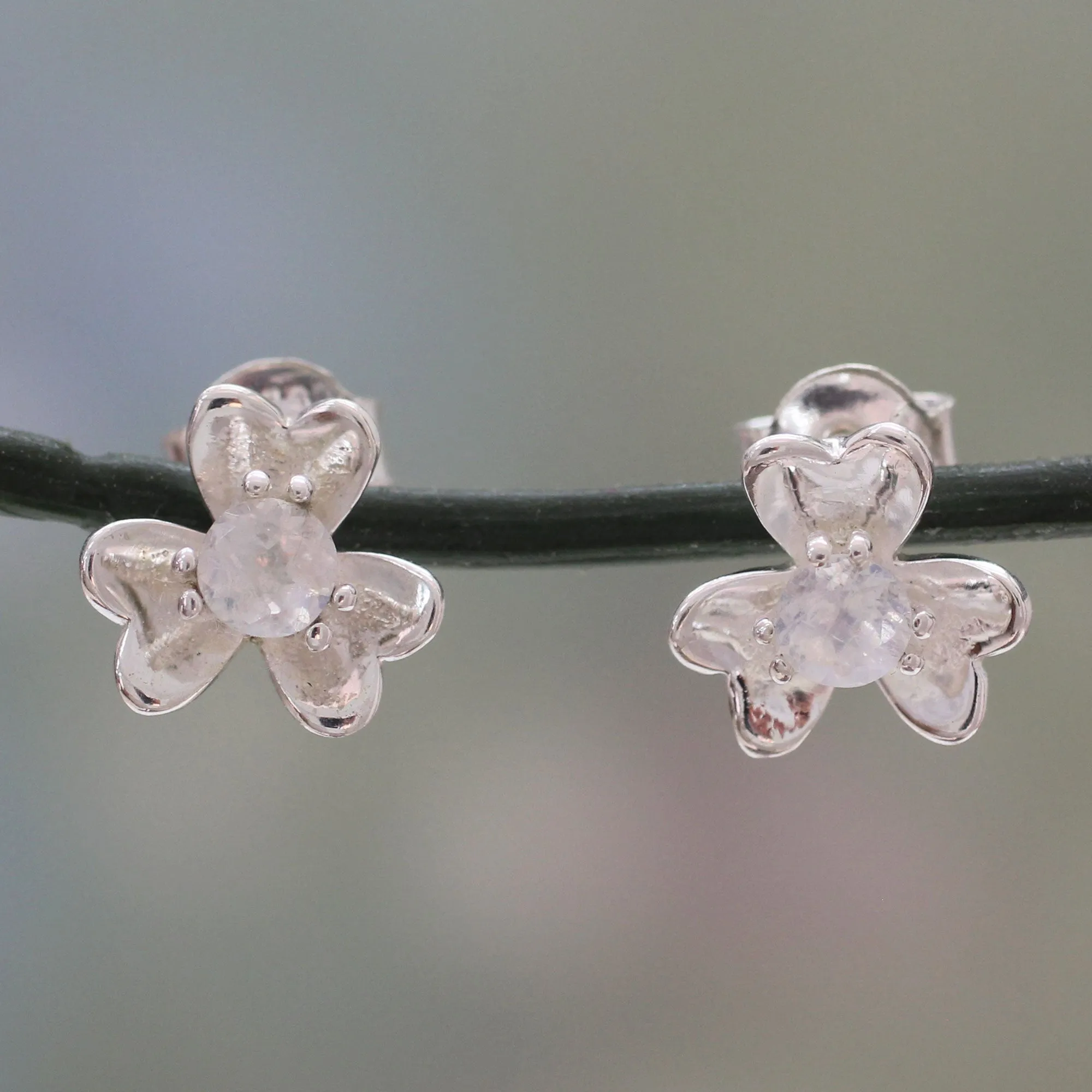 Cradle Lily Sterling Silver and Rainbow Moonstone Floral Button Earrings