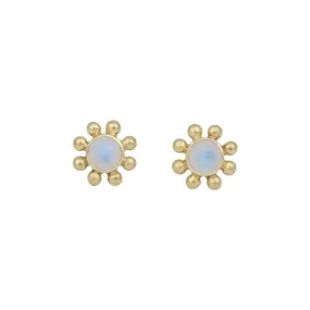 Little Sun 14K Gold Rainbow Moonstone Stud Earrings
