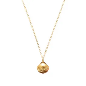 Sea Shell Necklace