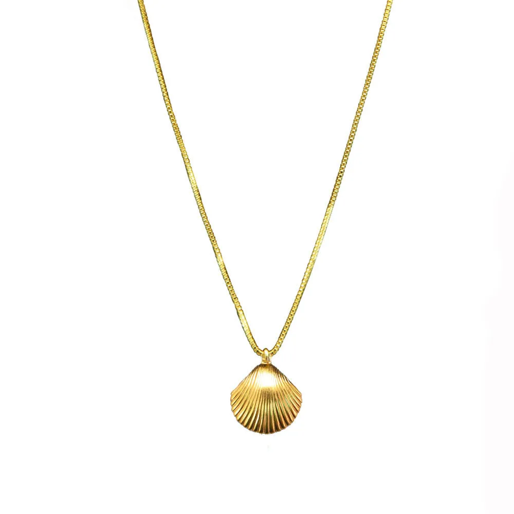 Sea Shell Necklace