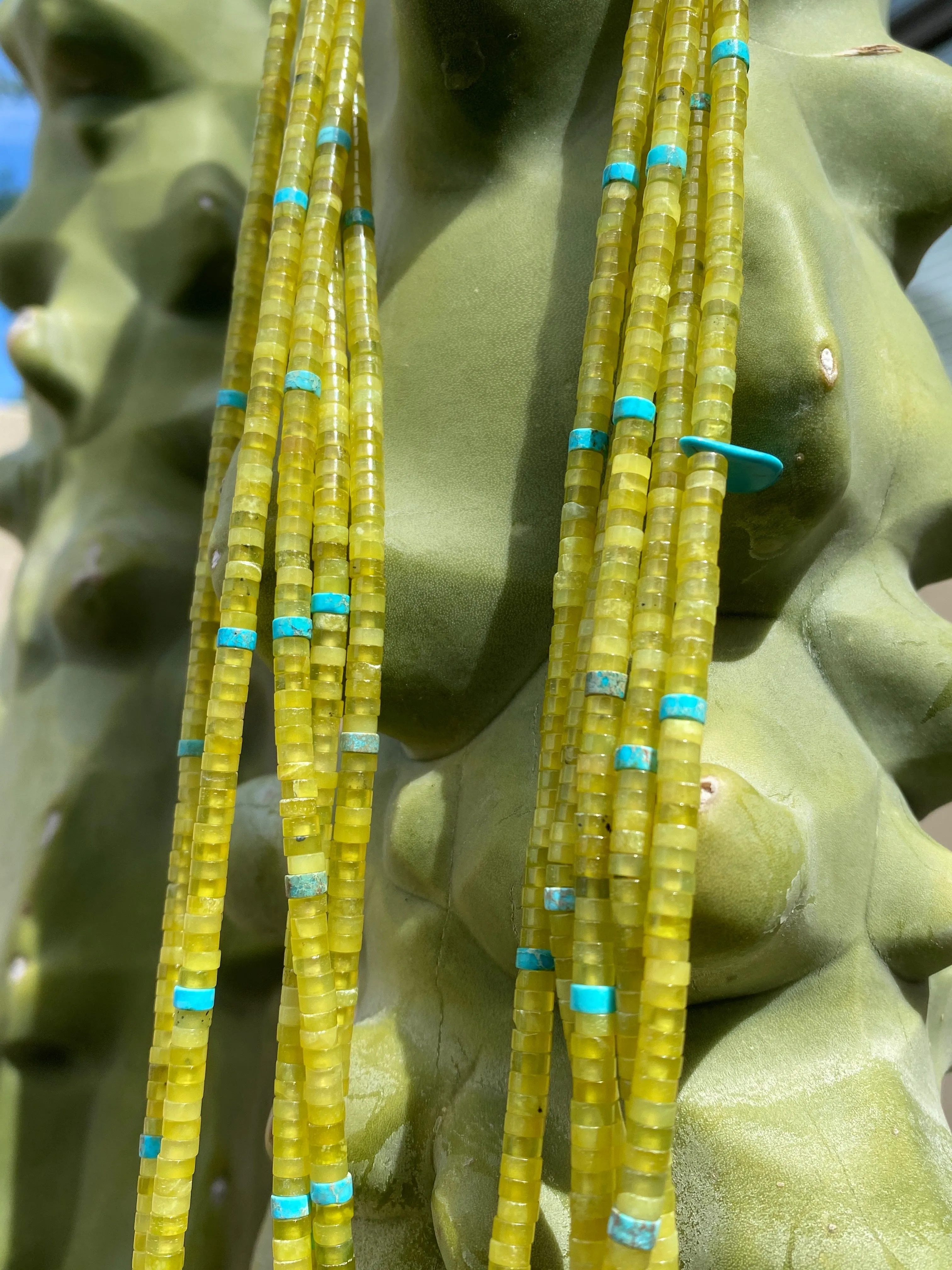 Serpentine, Baby Olive Shell, and Turquoise Heishi Necklace
