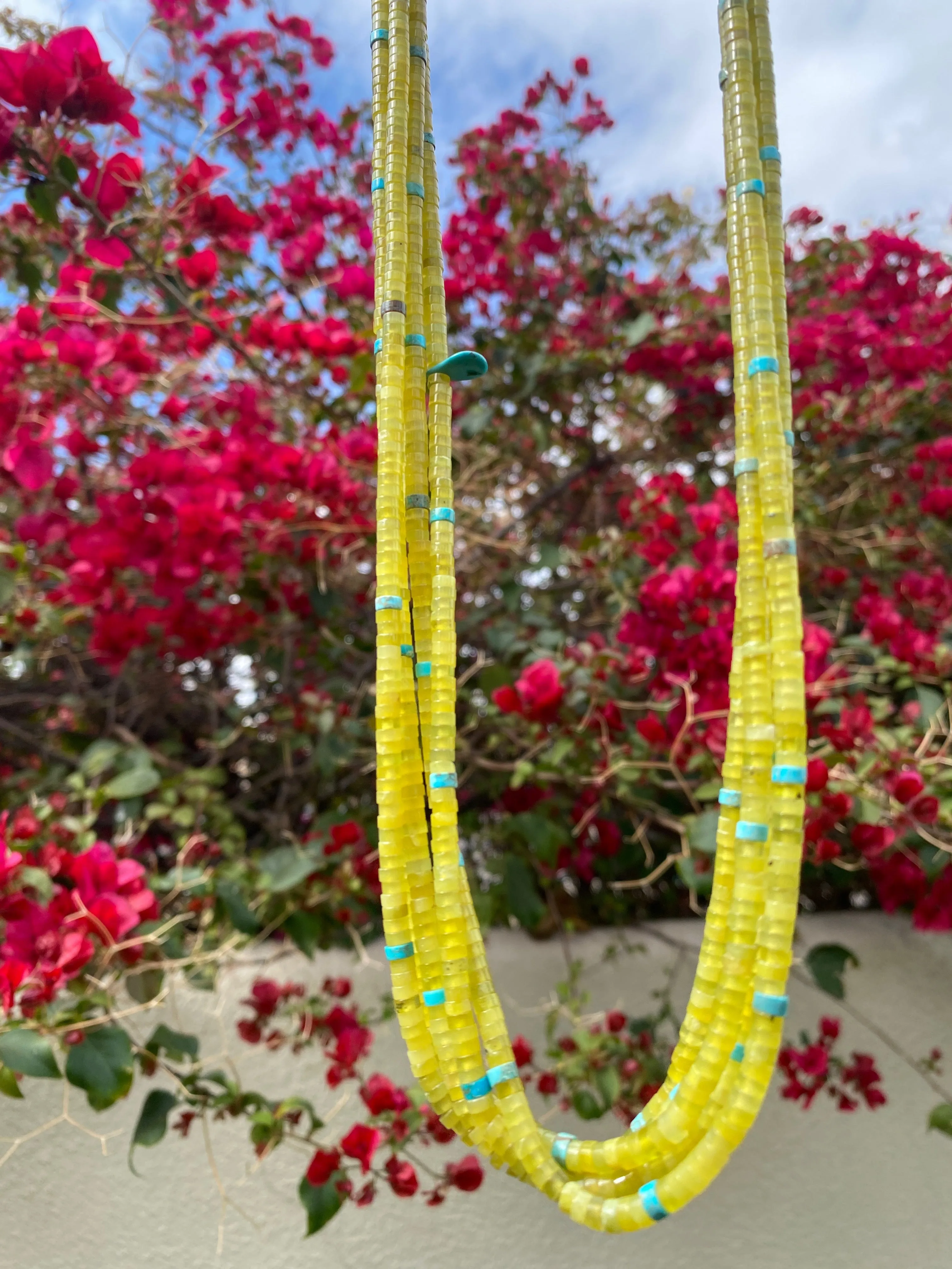 Serpentine, Baby Olive Shell, and Turquoise Heishi Necklace