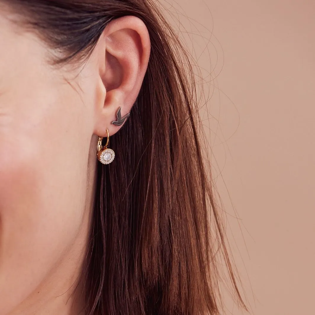 Thassos Earrings Steel
